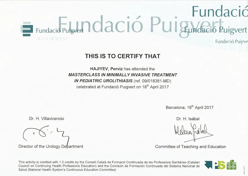 Masterclass on minimally invasive treatment of stone disease in children, Barcelona